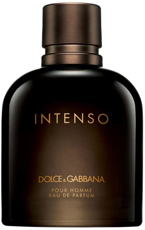 marca dolce & gabbana|dolce gabbana online shopping.